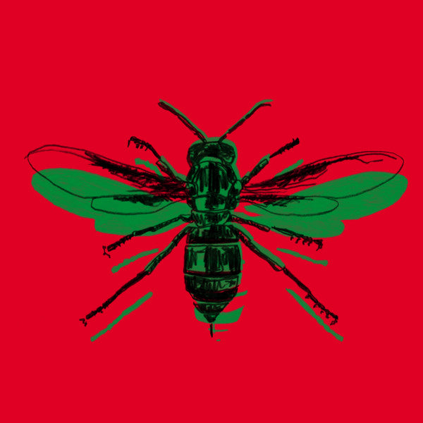 Jacob Mafuleni & Gary Gritness : Batanidzo (LP, Album)