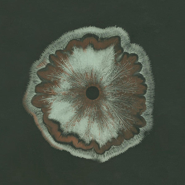 Eefje de Visser – Scheef (7", FALA Records, 2018) Front Cover