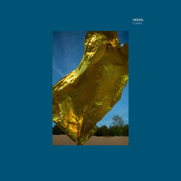 Herzel – Forms (12", Uncanny Valley, 2018) Front Cover