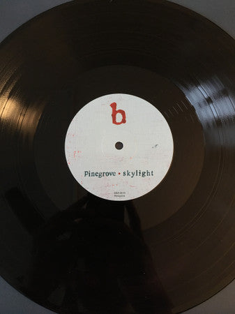 Pinegrove – Skylight (LP, Pinegrove, 2019) Image 5