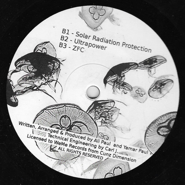 Hyperinteger – Shifting Seasons (12", WéMè Records, 2019) Back Cover