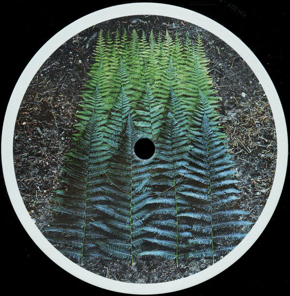 Various – Transition Vol. 1 (12", Knekelhuis, 2020) Image 4