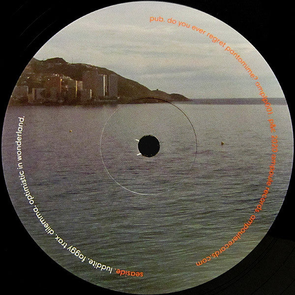 Pub – Do You Ever Regret Pantomime? (2xLP, 180g, Ampoule, 2020) Image 5