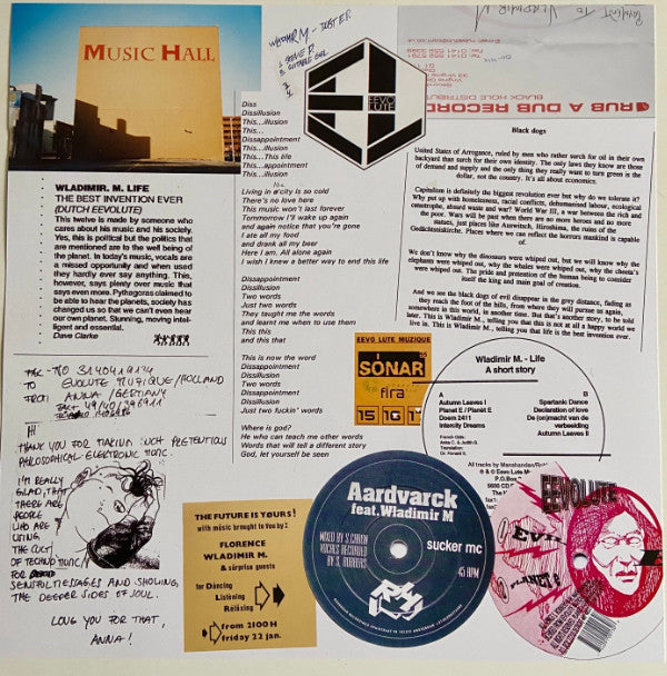 Wladimir M – Leaves Fallin' Recklessly (2xLP, Delsin, 2020) Image 3