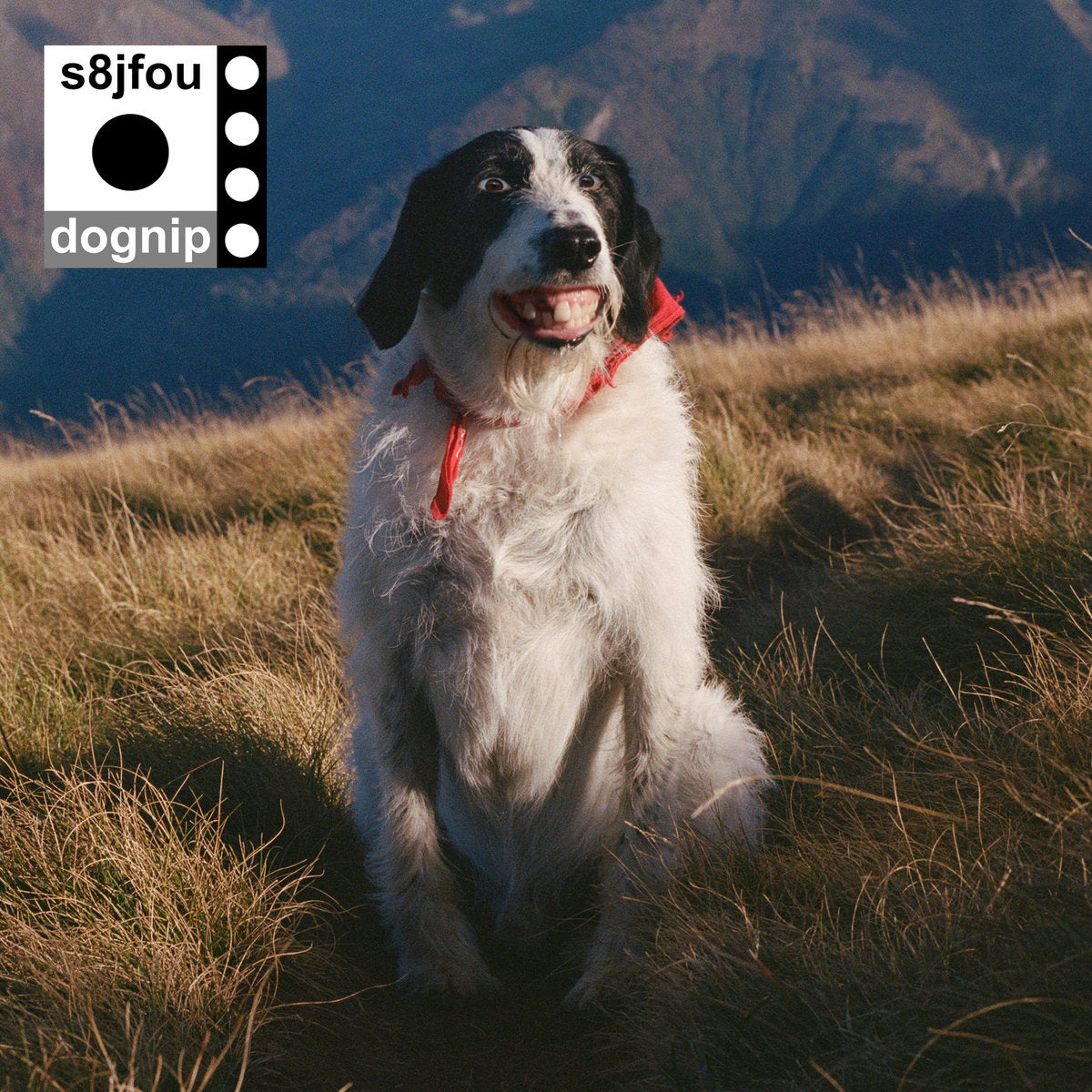 s8jfou – Dognip (LP, Parapente Music, 2025) Front Cover