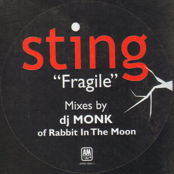 Sting – Fragile (12", A&M Records, 2001) Image 4