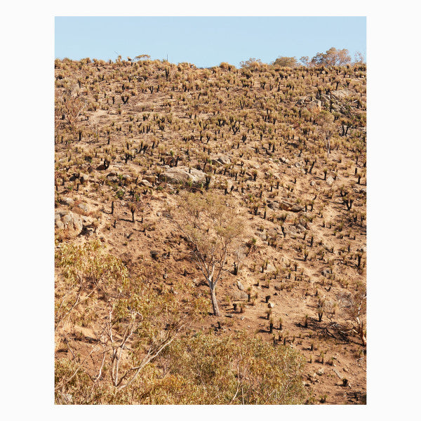 Andrew Pekler Giuseppe Ielasi – Palimpsests (LP, Shelter Press, 2021) Front Cover