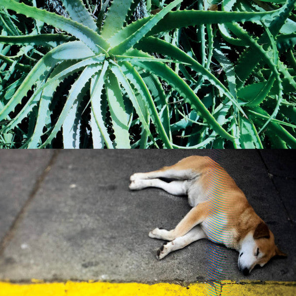 Steve Bates – All The Things That Happen (LP, Constellation, 2022) Front Cover