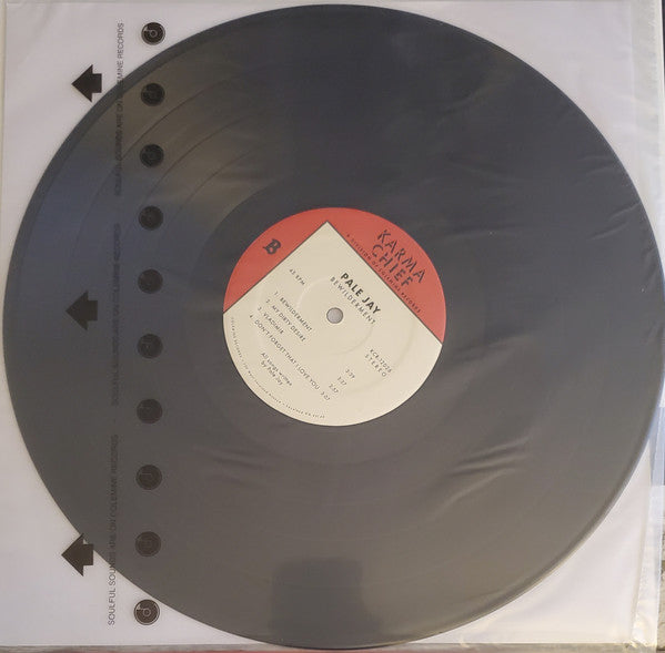 Pale Jay – Bewilderment (LP, Karma Chief Records, 2023) Back Cover