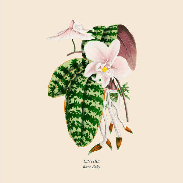 Cinthie – Rave Baby (12", Aus Music, 2024) Front Cover