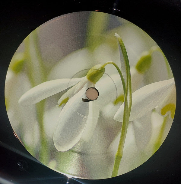 Princ€ss : Princ€ss (LP, Album, Ltd)