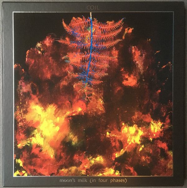 Coil – Moon's Milk (In Four Phases) (3xLP+Box Set, Dais Records, 2024) Front Cover