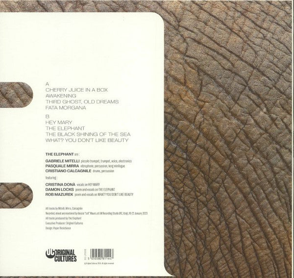The Elephant – In The Room (LP, Original Cultures, 2024) Back Cover