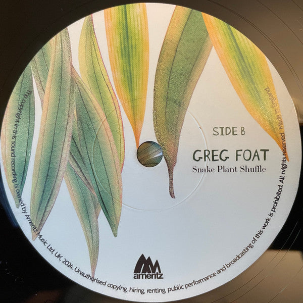 Greg Foat – Spider Plant Blues (7", Ameritz Music Ltd, 2024) Image 4