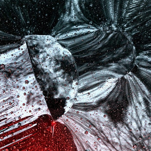 SHXCXCHCXSH – DO (12", Rösten, 2024) Front Cover