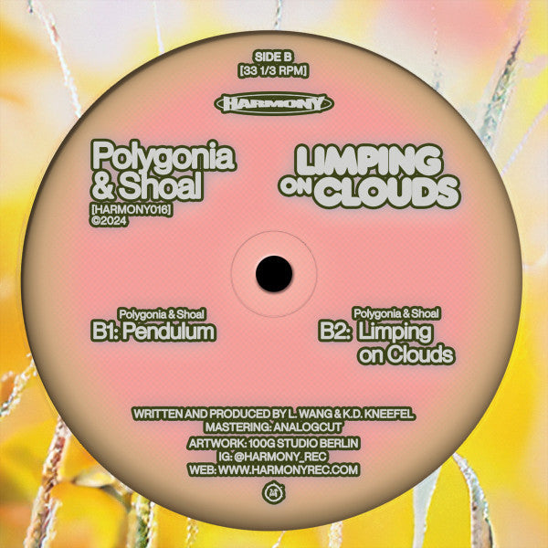 Polygonia & Shoal : Limping On Clouds (12", EP)