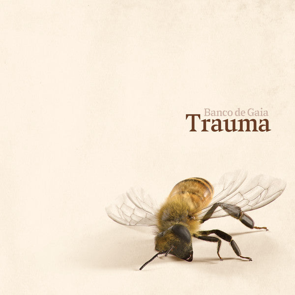 Banco de Gaia – Trauma (LP, Marbled, Disco Gecko, 2024) Front Cover