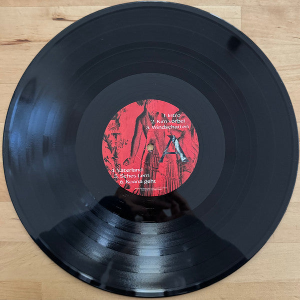 Anna Buchegger – Windschatten (LP, Anna's Label, 2024) Image 5