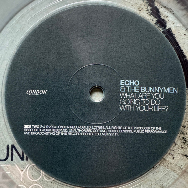 Echo & The Bunnymen – What Are You Going To Do With Your Life? (LP, Crystal Clear, London Records, 2024) Image 5