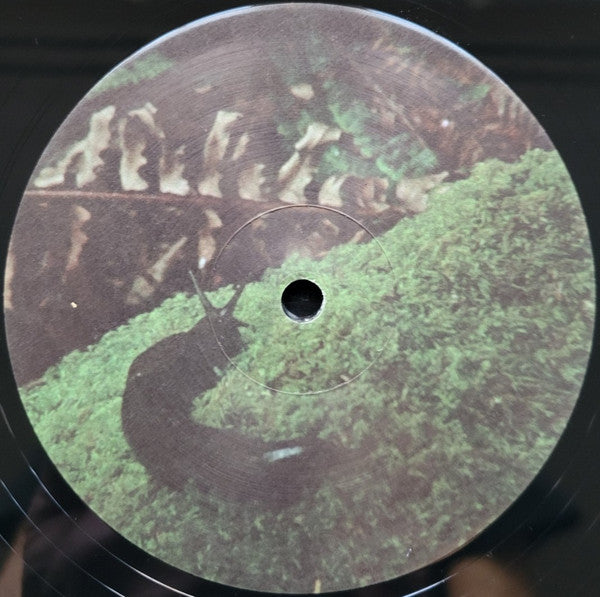 Yo La Tengo : Old Joy (LP)