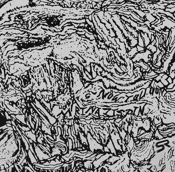 Marina Zispin : Now You See Me, Now You Don't (LP, Album, Ltd)