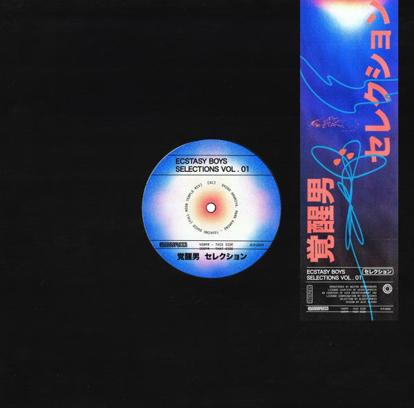 Ecstasy Boys – Selections Vol. 01 (12", Glossy Mistakes, 2025) Front Cover