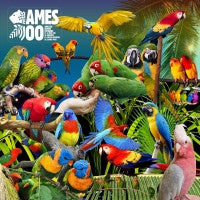 Jameszoo – Guanyin Psittacines (10", Kindred Spirits, 2012) Front Cover