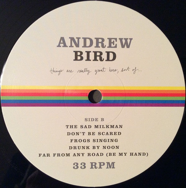 Andrew Bird : Things Are Really Great Here, Sort Of... (LP, Album)