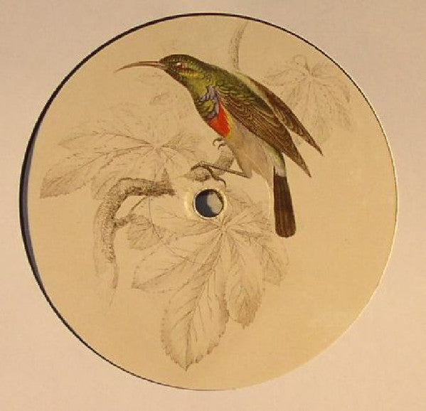 Ethyl Flori – Transcripts (12", Sudden Drop, 2015) Back Cover