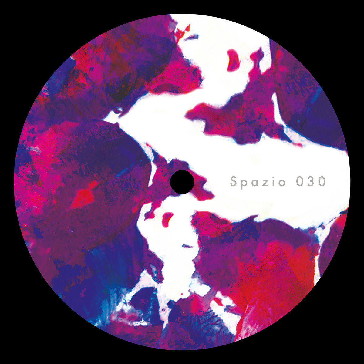 Adiel – (What You Want) Is Music EP (12", Spazio Disponibile, 2024) Front Cover