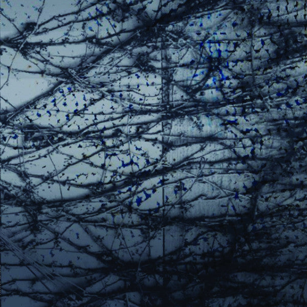 Human Rays – A Tension (LP, Blue/Black 180g, Further Records, 2016) Front Cover