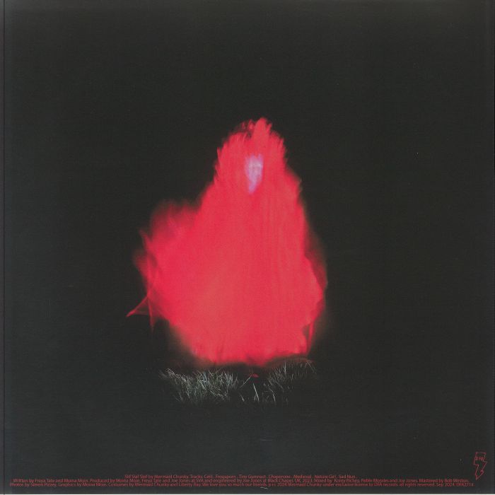 Mermaid Chunky – Slif Slaf Slof (LP, DFA, 2024) Back Cover