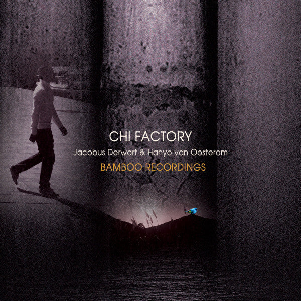The Chi Factory Featuring Jacobus Derwort & Hanyo van Oosterom : The Bamboo Recordings (LP, Album, Mixed)
