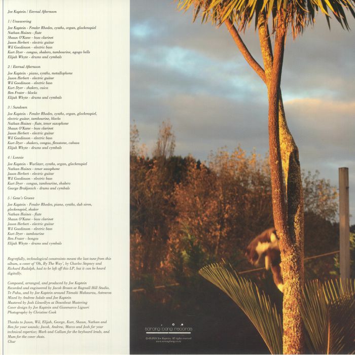 Joe Kaptein - Eternal Afternoon (LP)