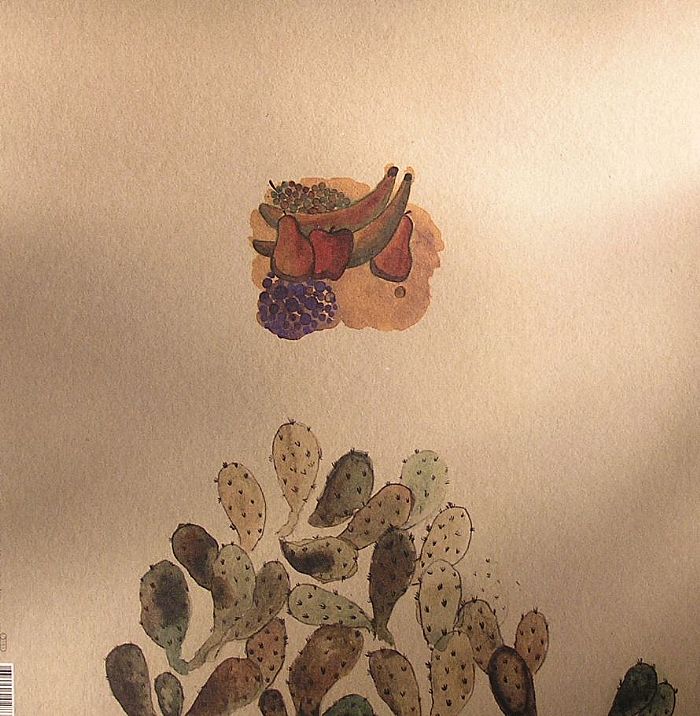 Devendra Banhart - Smokey Rolls Down Thunder Canyon (2xLP)