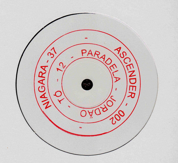 Niagara – 37 (12", Ascender, 2017) Image 3
