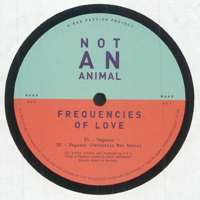 Frequencies Of Love – Frequencies Of Love (12", Not An Animal Records, 2025) Back Cover