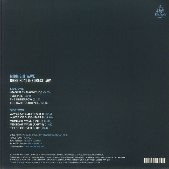 Greg Foat & Forest Law - Midnight Wave (LP)