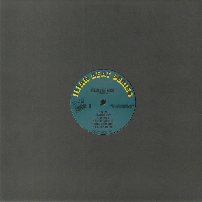 Fields Of Mist - Illuminated60 (12") (180g)