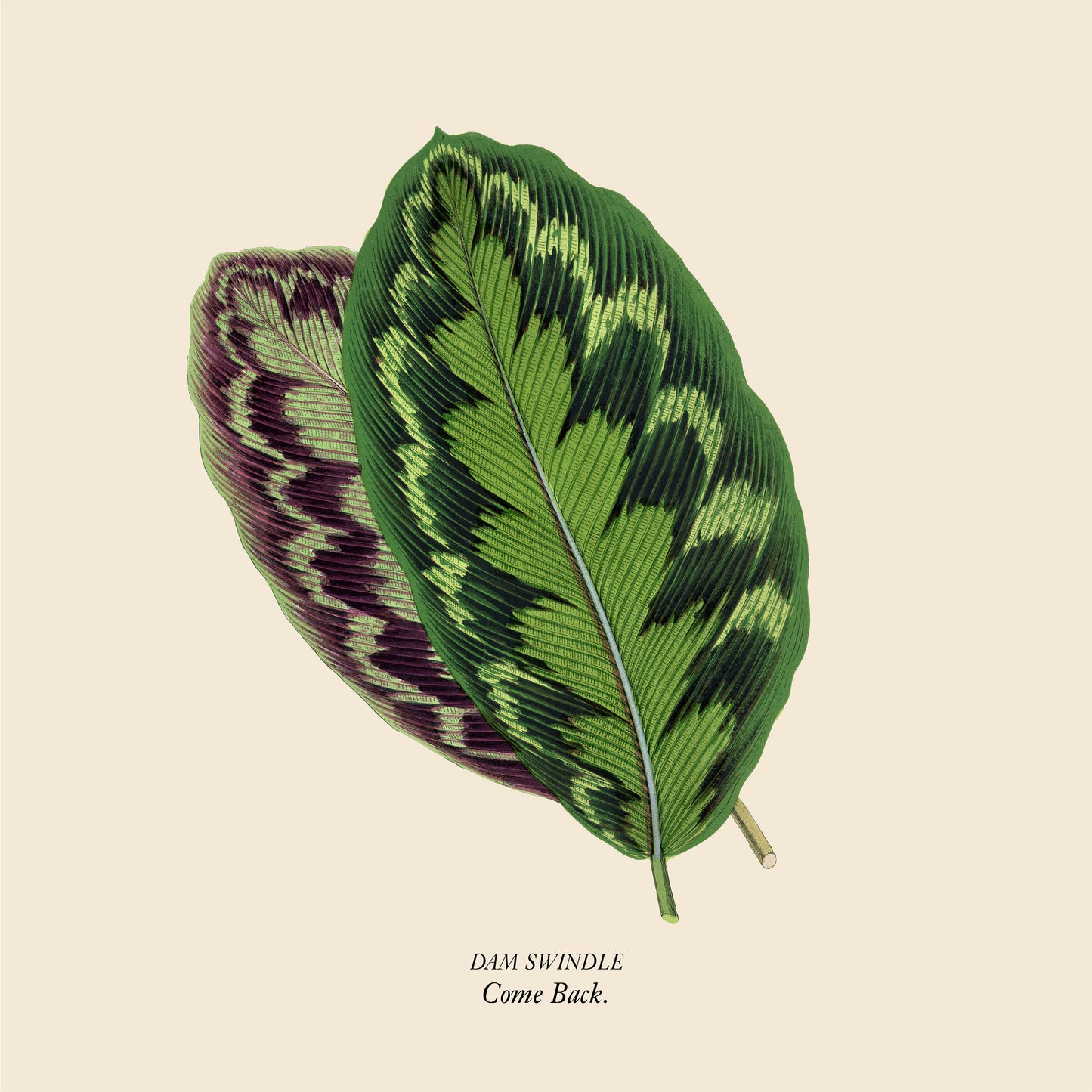 Dam Swindle – Come Back (12", Transparent Green Smoke, Aus Music, 2024) Front Cover