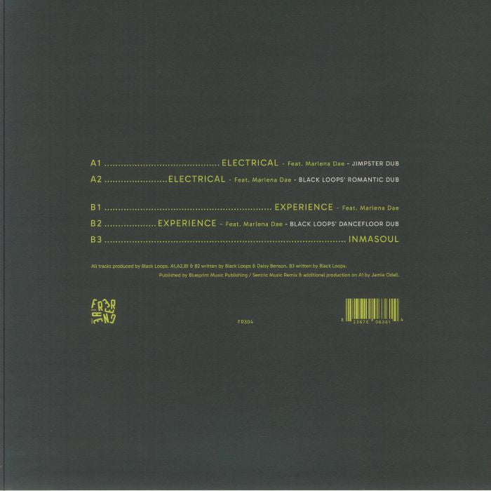 Black Loops - Experience EP (12")