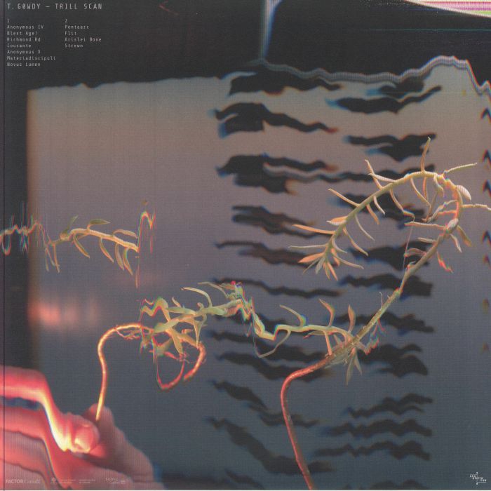 T. Gowdy – Trill Scan (LP, Constellation, 2025) Back Cover