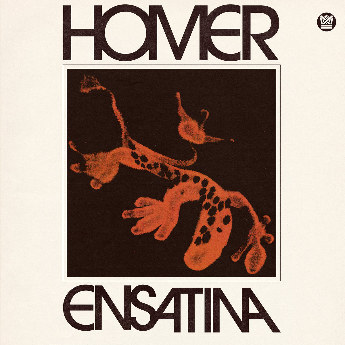 Homer – Ensatina (LP, Big Crown Records, 2024) Front Cover