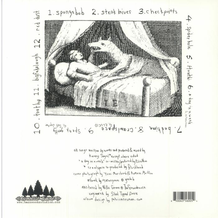 Billy Woods Kenny Segal – Hiding Places (LP, Backwoodz Studioz, 2024) Back Cover