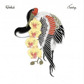 Kotokid – Fridge (LP, Wicked Wax Amsterdam, 2024) Front Cover