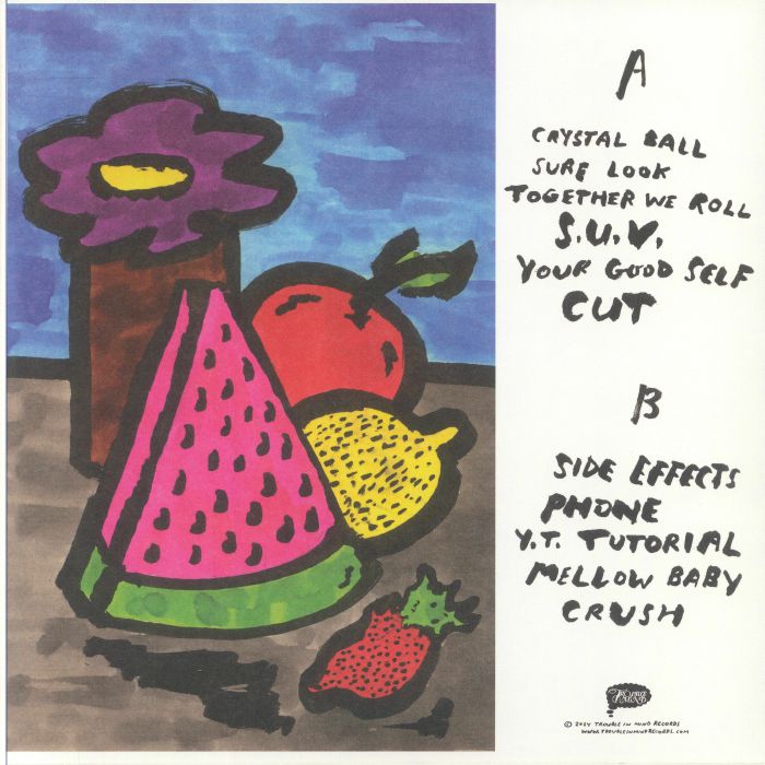 Nightshift – Homosapien (LP, Technicolor Fruit Basket, Trouble In Mind, 2024) Back Cover