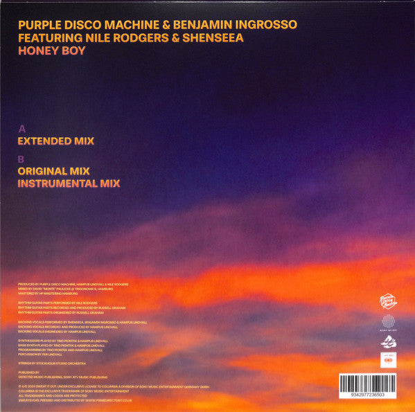 Purple Disco Machine & Benjamin Ingrosso Featuring Nile Rodgers & Shenseea - Honey Boy (12")