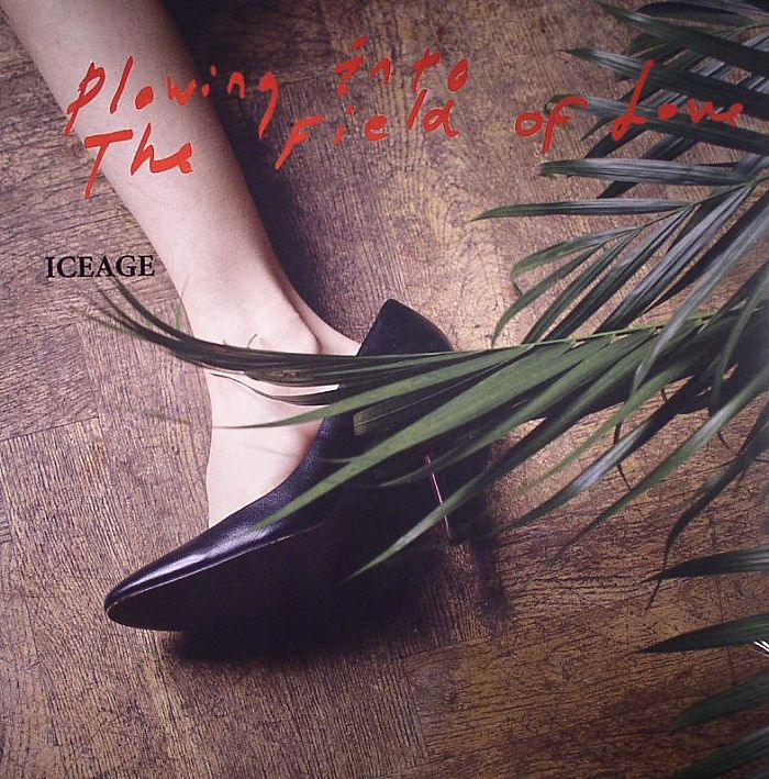 Iceage – Plowing Into The Field Of Love (2x12", Clear Purple, 180g, Escho, 2024) Front Cover