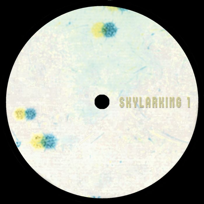 SL Jung – Coherence (12", Skylarking, 2024) Front Cover