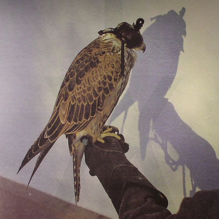 Iceage – You're Nothing (12", Clear, 180g, Escho, 2024) Front Cover